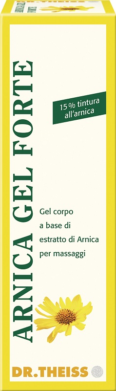 THEISS ARNICA GEL FORTE 100 ML - FARMAPRIME