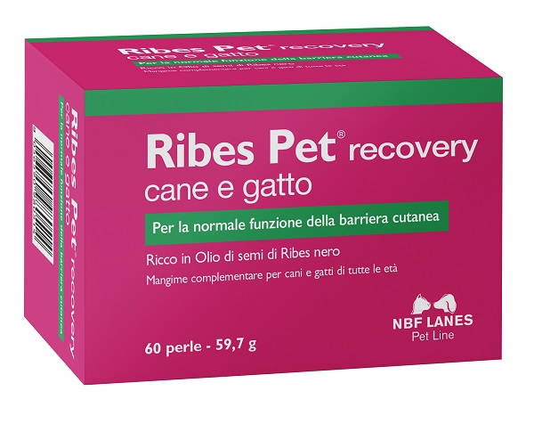 RIBES PET RECOVERY BLISTER 60 PERLE - FARMAPRIME