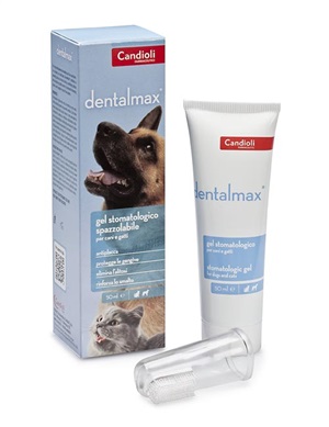 DENTALMAX GEL STOMATOLOGICO 50 ML - FARMAPRIME