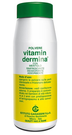 VITAMINDERMINA POLVERE MENT 100 G - FARMAPRIME