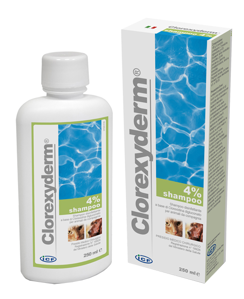 CLOREXYDERM SHAMPOO 4% 250 ML - FARMAPRIME