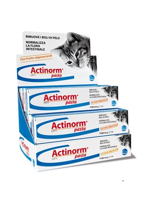 ACTINORM PASTA GATTI 65 G - FARMAPRIME