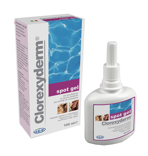 CLOREXYDERM SPOT GEL 100 ML - FARMAPRIME