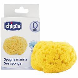 CHICCO SPUGNA MARE PICCOLA - FARMAPRIME