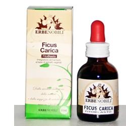 FITOBLASTO FICUS CARICA 50 ML - FARMAPRIME