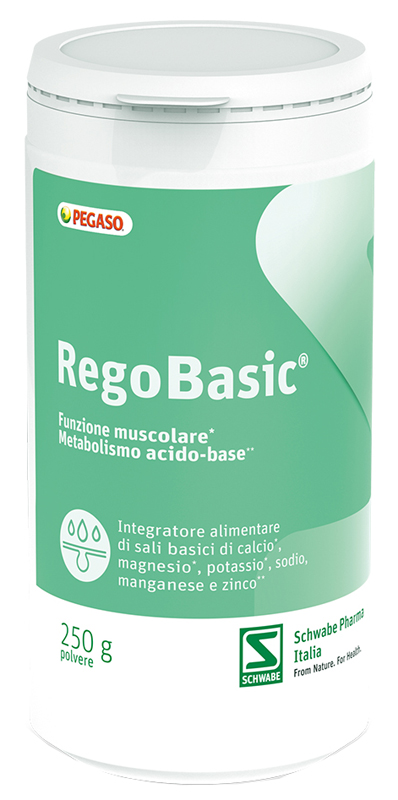 REGOBASIC POLVERE 250 G - FARMAPRIME