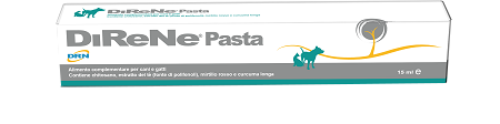 DIRENE PASTA 15 ML - FARMAPRIME