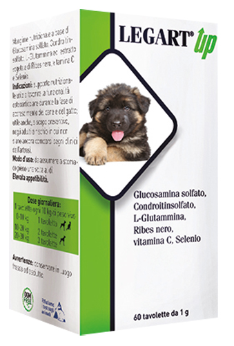 LEGART UP 60 COMPRESSE DA 1 G - FARMAPRIME