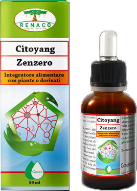 CITOYANG ZENZERO GOCCE FLACONCINO 50 ML - FARMAPRIME