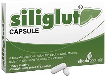 SILIGLUT 20 CAPSULE - FARMAPRIME