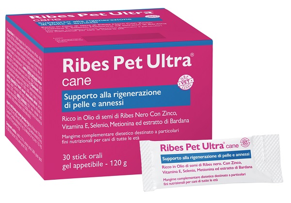 RIBES PET ULTRA CANE GEL 30 BUSTINE 4 G - FARMAPRIME