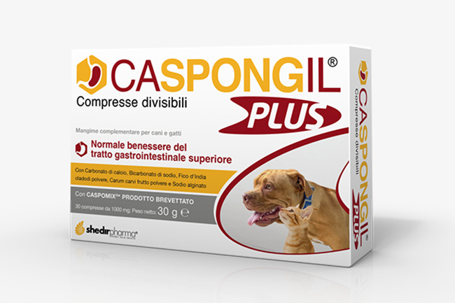 CASPONGIL PLUS 30 COMPRESSE - FARMAPRIME