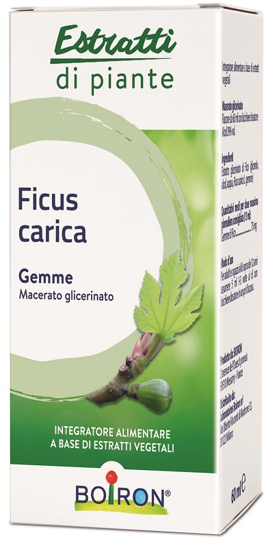 FICUS CARICA BOIRON MACERATO GLICERICO 60 ML - FARMAPRIME