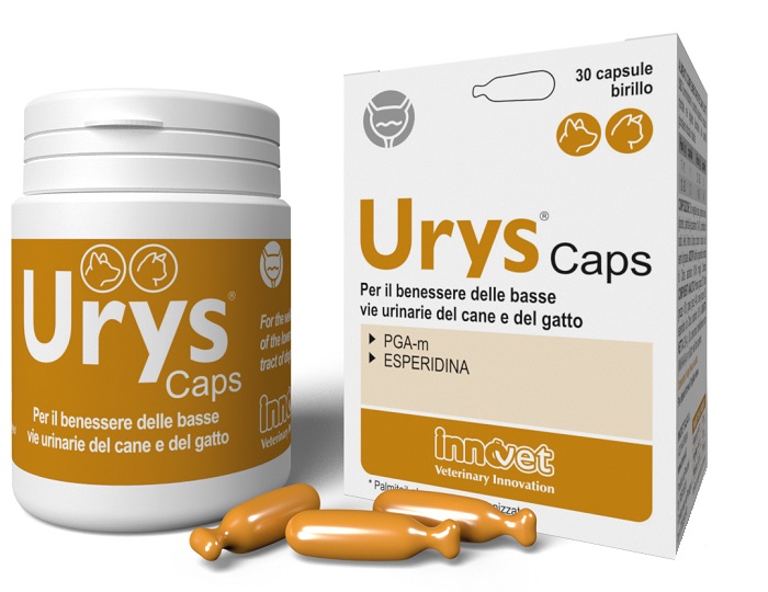 URYS CAPS 30 CAPSULE - FARMAPRIME