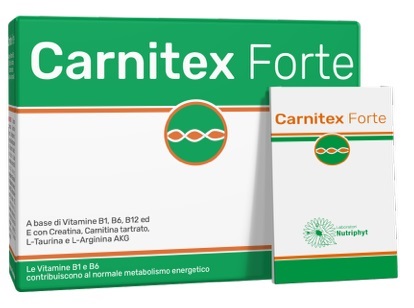 CARNITEX FORTE 14 BUSTINE - FARMAPRIME